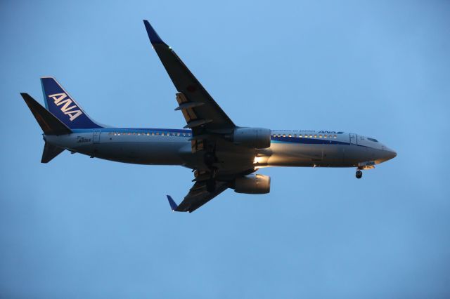 Boeing 737-800 (JA60AN) - 10 May 2016:HND-HKD.
