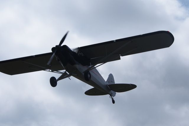 Piper L-21 Super Cub (N760TX)