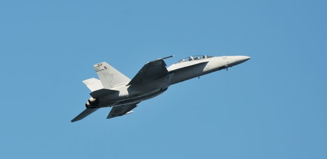 McDonnell Douglas FA-18 Hornet —