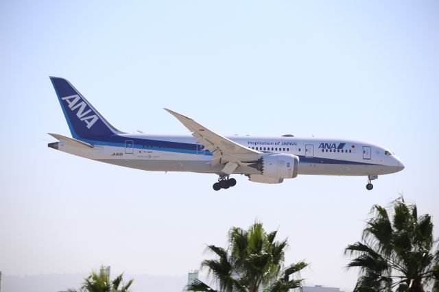 Boeing 787-8 (JA813A)