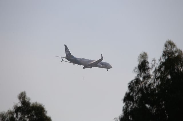 Boeing 737-900 (N435AS)
