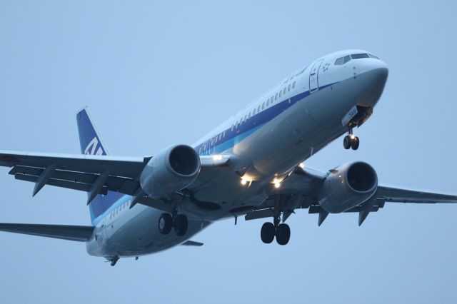 Boeing 737-800 (JA75AN) - 14 June 2016:HND-HKD.