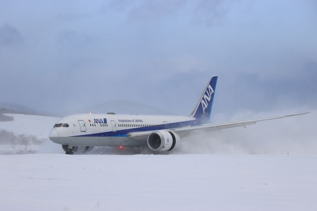 Boeing 787-8 (JA819A) - December 31st 2020:HND-HKD.