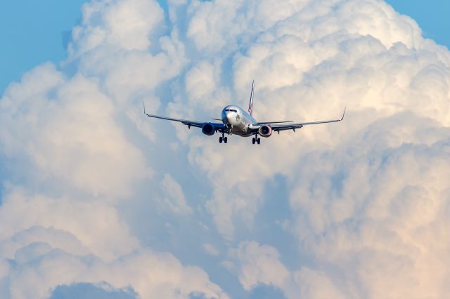 Boeing 737-800 (VH-YWA)