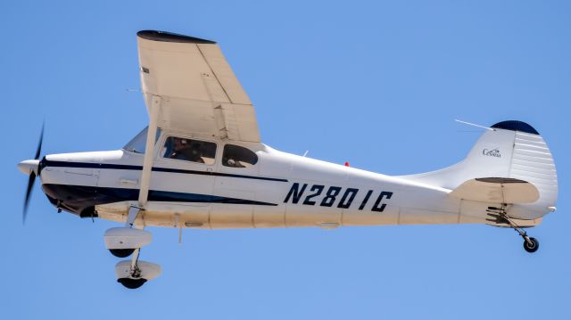 Cessna 170 (N2801C)