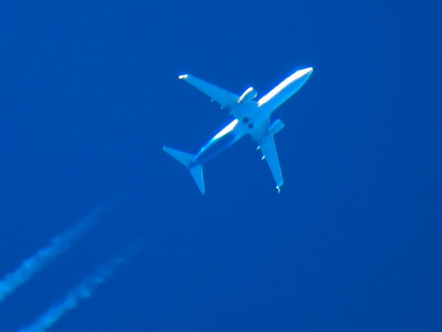 Boeing 737-800 (N565AS)