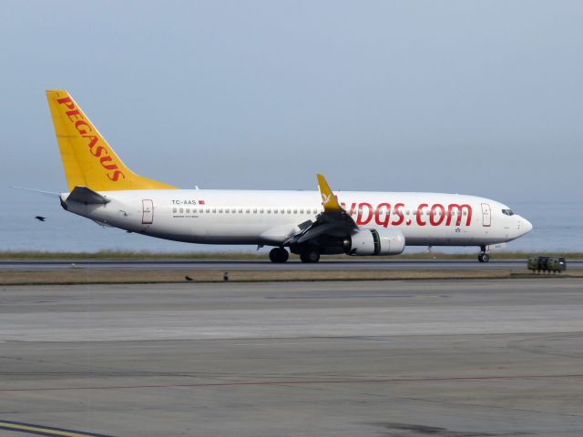 Boeing 737-800 (TC-AAS) - Landing runway 11. 14 NOV 2014.