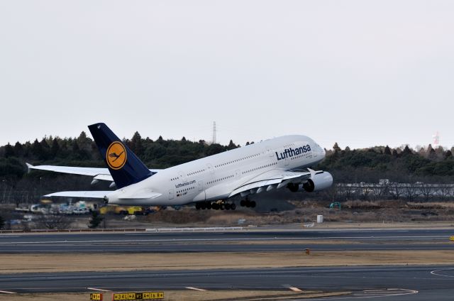 Airbus A380-800 (D-AIMF)