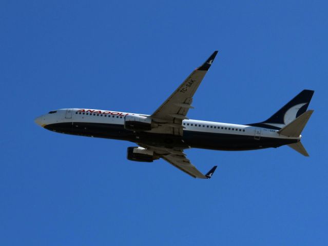 Boeing 737-800 (TC-SAK) - 3 NOV 2014