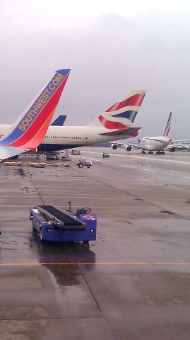 Boeing 737-800 — - On the gate at IAD. Washingtons Dullas Intl Airport.