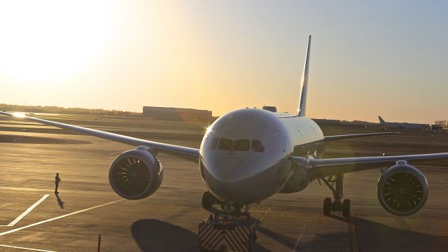 Boeing 787-8 (N820AL) - AAL B787 push back for late afternoon international flight