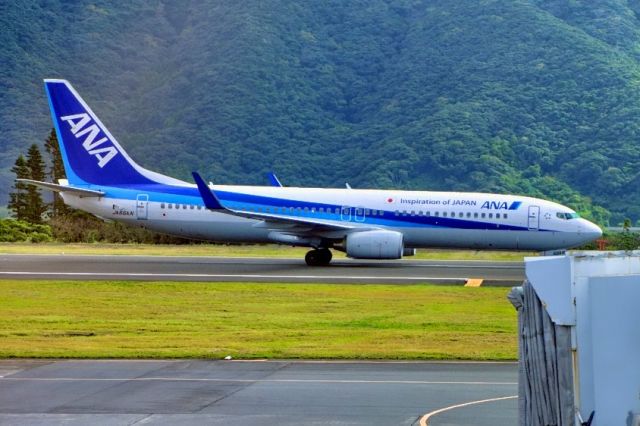 Boeing 737-800 (JA66AN) - Taxi to only Gate