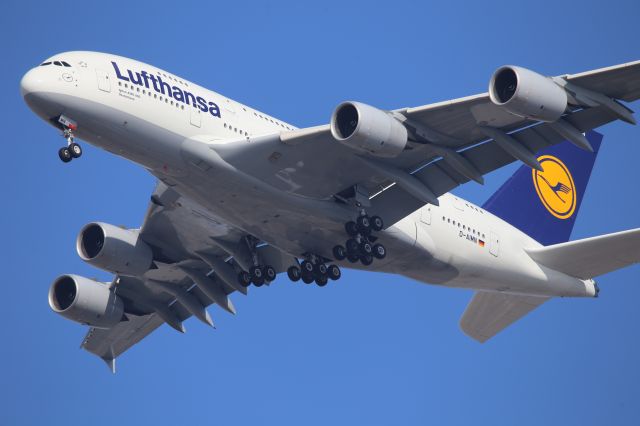 Airbus A380-800 (D-AIMN)