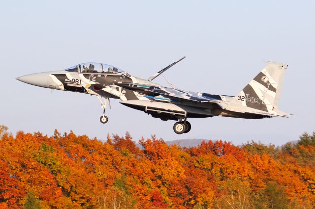 McDonnell Douglas F-15 Eagle (32-8081) - japan air self defence foce F-15DJ Aggressor squadron 