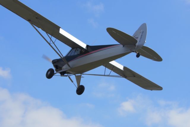 Piper L-21 Super Cub (N760TX)