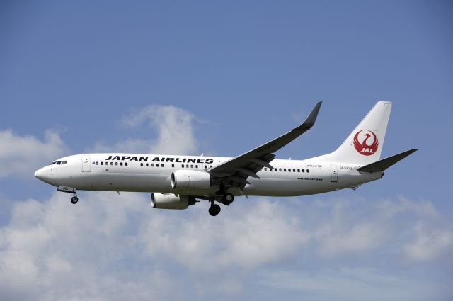 Boeing 737-800 (JA321J) - Final Approach to Narita Intl Airport Rwy16L on 2013/08/20