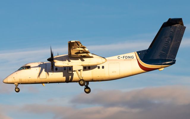 de Havilland Dash 8-100 (C-FDNG)