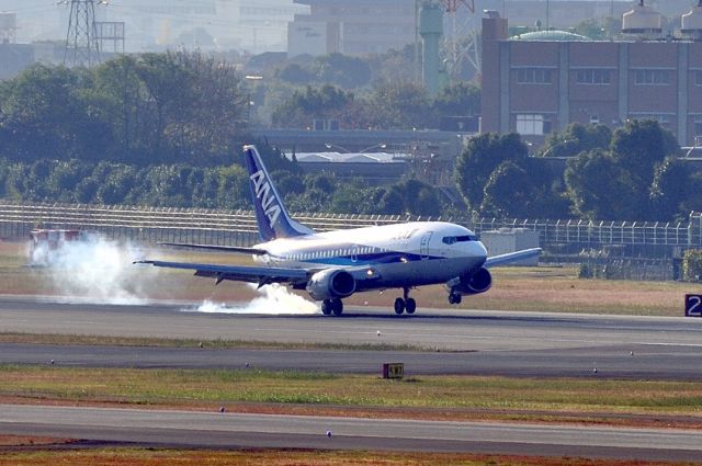 Boeing 737-500 (JA358K) - Smokey landing