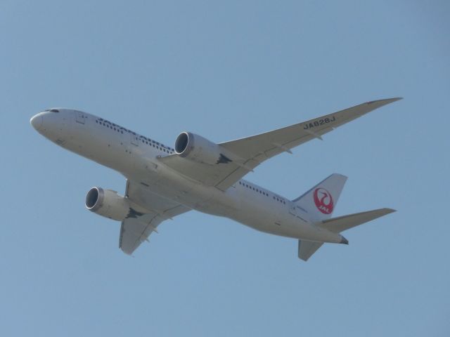 Boeing 787-8 (JA828A)
