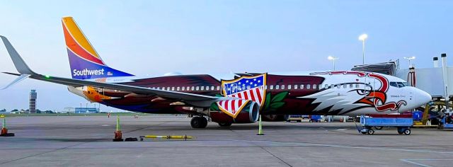Boeing 737-800 (N8619F) - 06-21-23