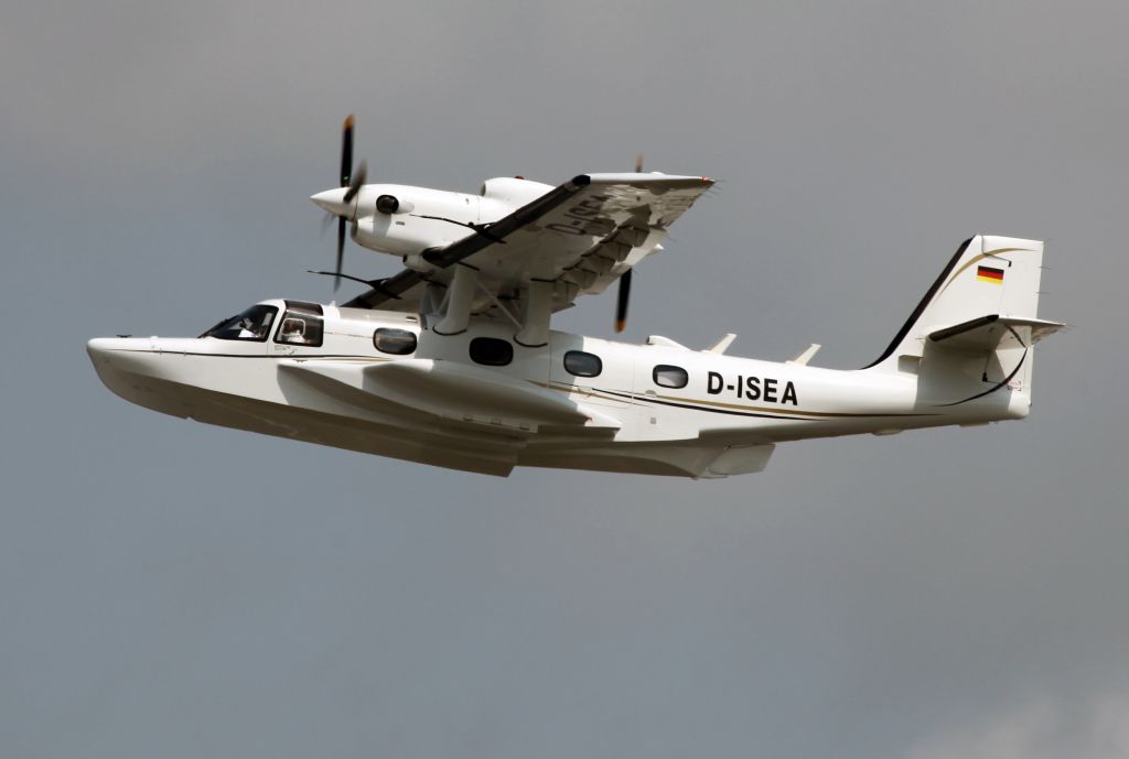 D-ISEA —