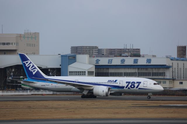 Boeing 787-8 (JA810A)