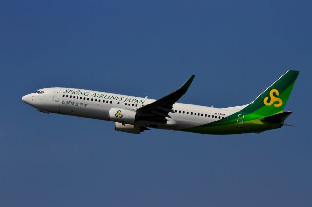 Boeing 737-800 (JA03GR)