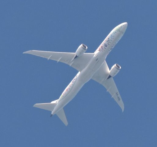 Boeing 787-8 (XA-ADL) - Special livery Quezalcuatl for AeroMexico leaving KJFK in the summer of 2017.