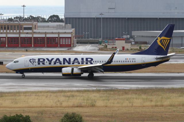 Boeing 737-800 (EI-DWG)