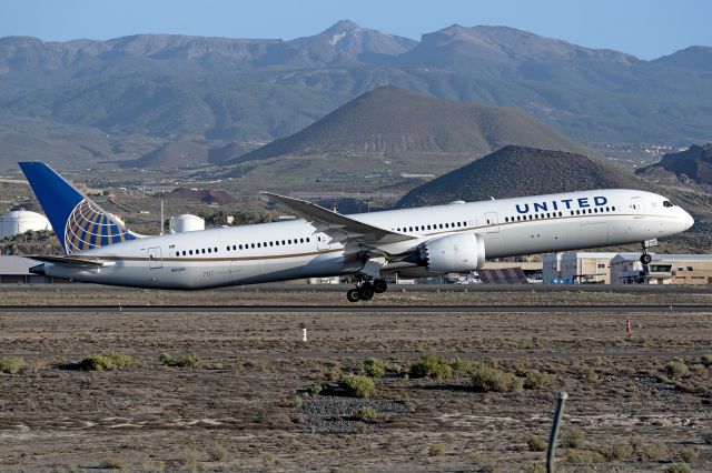 BOEING 787-10 Dreamliner (N16009)