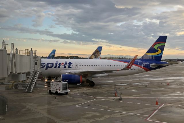Airbus A320 (N639NK) - Three Airbus’s in the same shot captured on 5 Oct 2017. Spirit Airlines (NKS535), N639NK, c/n 6487, at gate A6 before departing KCLE for KCMO. Two new Frontier tails are seen behind the Spirit A320. N718FR, an A321-211, c/n 7575, "Cali the Mountain Lion", was delivered on 11 Mar 2017 while N311FR, an A320-251neo, c/n 7642, "Mia the Dolphin", was delivered on 16 June 2017.