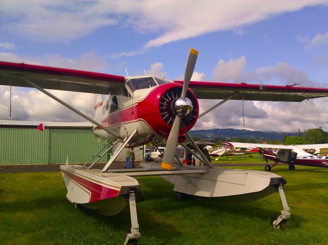 — — - DHC-2 Beaver