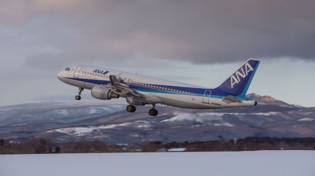 Airbus A320 (JA8396) - All Nippon Airways / Airbus A320-211br /Jan.17.2016 Hakodate Airport [HKD/RJCH] JAPAN