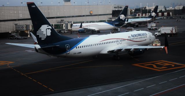 Boeing 737-800 (XA-AMN) - Aeromexico Boeing 737-800(XA-AMN,N368AR) together with another Aeromexico 737 