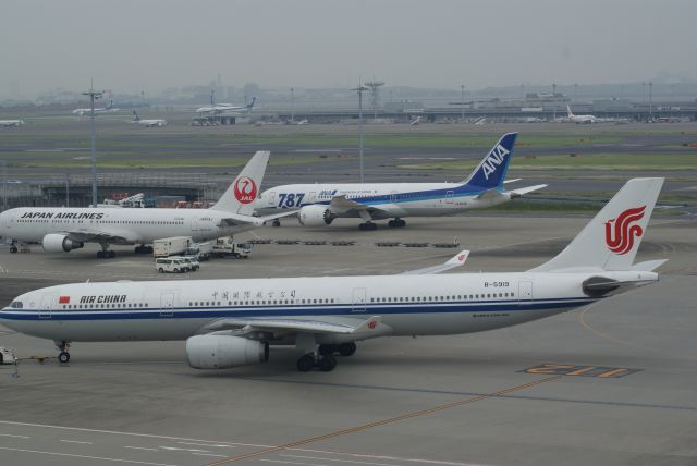 Airbus A330-300 (B-5919) - Air China A330-343X cn1413
