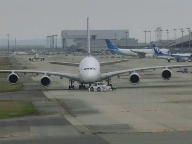 Airbus A380-800 (HS-TUF) - タイの前方姿。