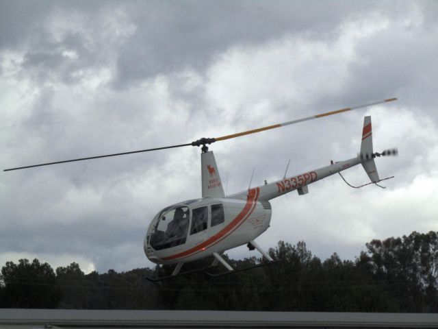 Robinson R-44 (N335PD) - Lifting off from RWY 24