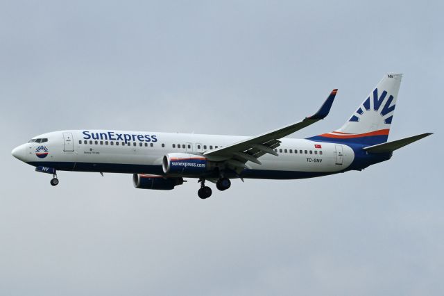 Boeing 737-800 (TC-SNV)