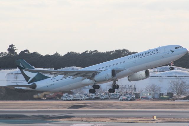 Airbus A330-300 (B-LAJ)