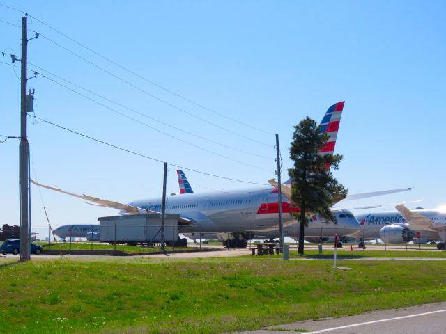 Boeing 787-9 Dreamliner (N831AA)