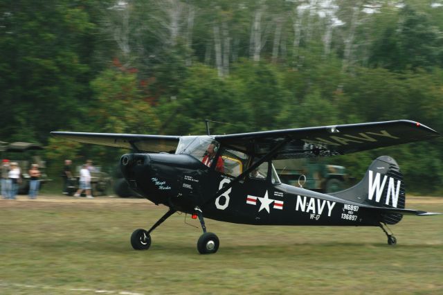 — — - Navy bird Dog on the Roll