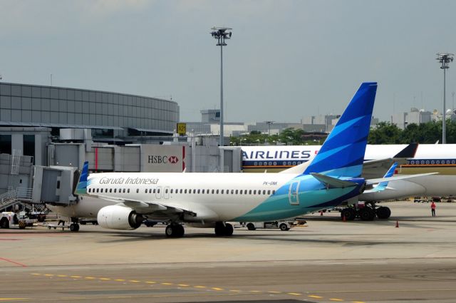 Boeing 787-8 (PK-GNK)