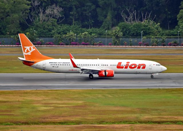 Boeing 737-900 (PK-LJZ)