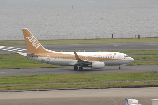 Boeing 737-700 (JA01AN) - Taxi at Haneda Intl Airport on 2007/10/6 Gold jet