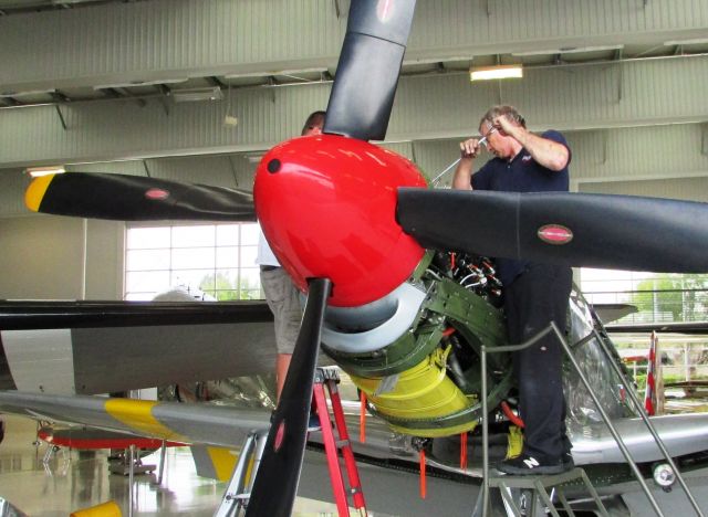 North American P-51 Mustang (N251MX) - On temporary display at Lyon Air Museum, Costa Mesa, CA