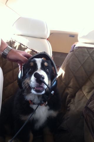Cessna Skylane (N62276) - On our way to BIg Bear!