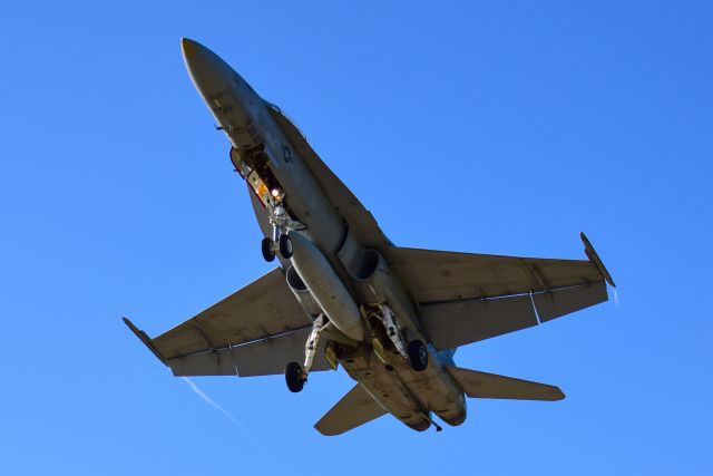 McDonnell Douglas FA-18 Hornet —