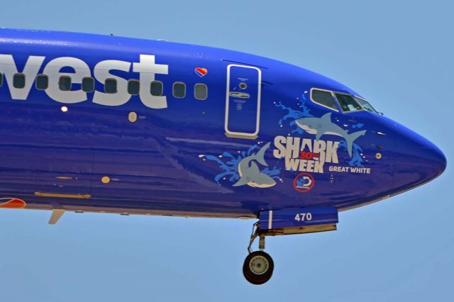 Boeing 737-700 (N470WN) - Southwest Boeing 737-7H4 N470WN Shark Week Great White at Phoenix Sky Harbor on July 25, 2018. 