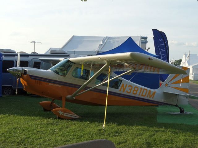 CHAMPION Decathlon (N381DM)