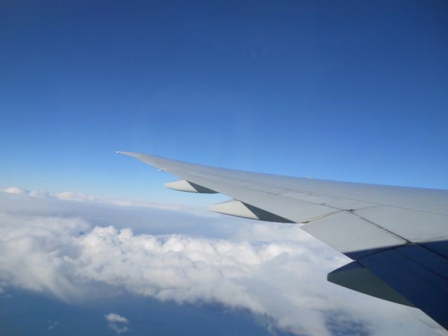 Boeing 777-200 (ZK-OKQ) - Auckland to Brisbane flying at 36,000ft taken from seat 45A